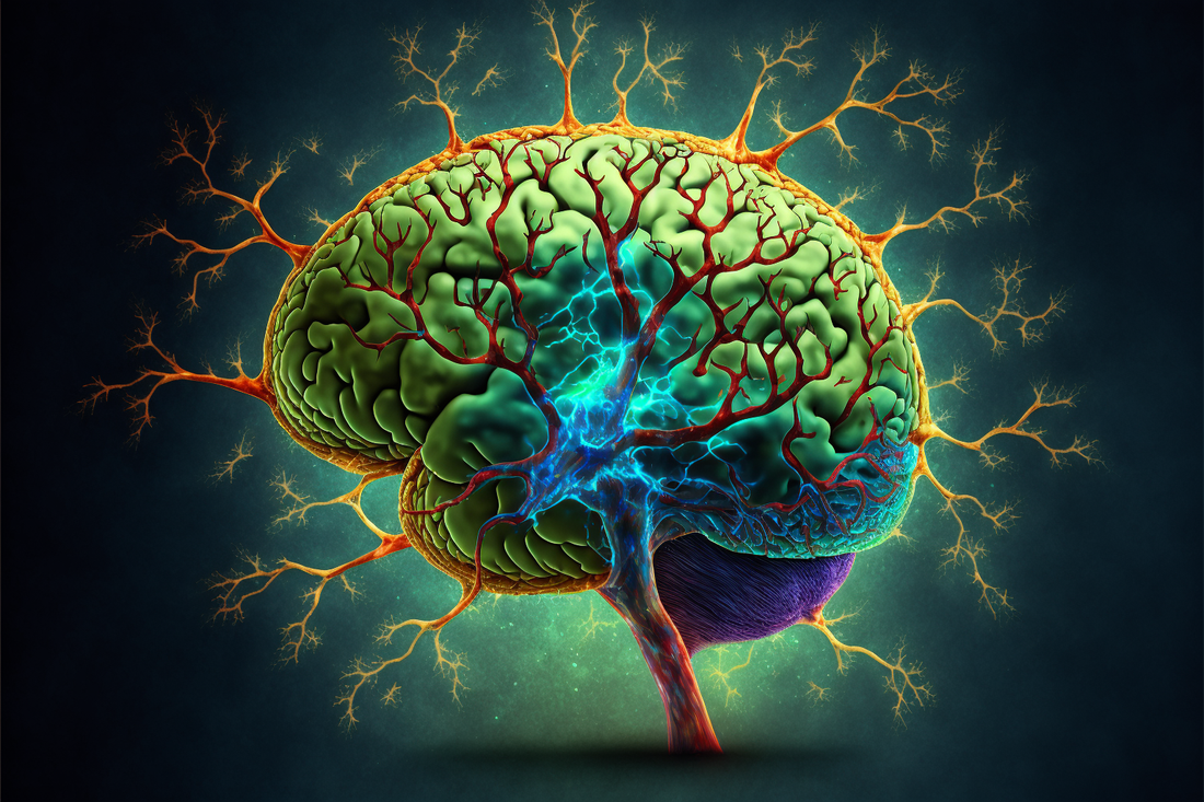 Neurogenesis and CBD - What You Need To Know